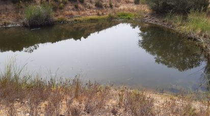 Terreno em São Marcos da Serra de 32 040 m²