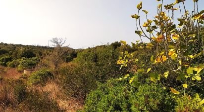 Terrain à Bensafrim e Barão de São João de 25 200 m²