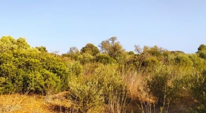 Terreno em Bensafrim e Barão de São João de 25 200 m²