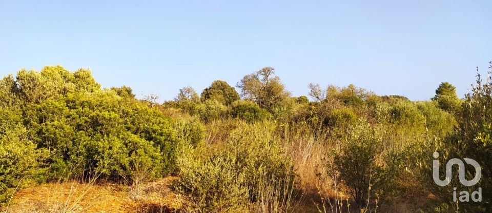 Terrain à Bensafrim e Barão de São João de 25 200 m²