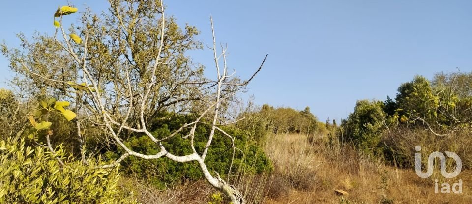 Land in Bensafrim e Barão de São João of 25,200 m²