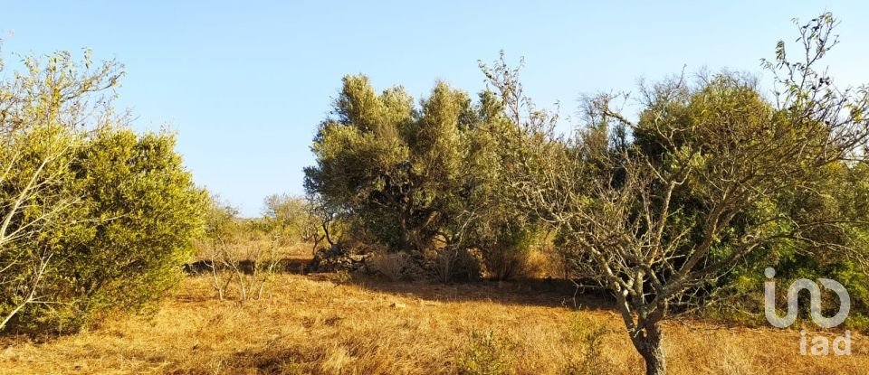 Land in Bensafrim e Barão de São João of 25,200 m²