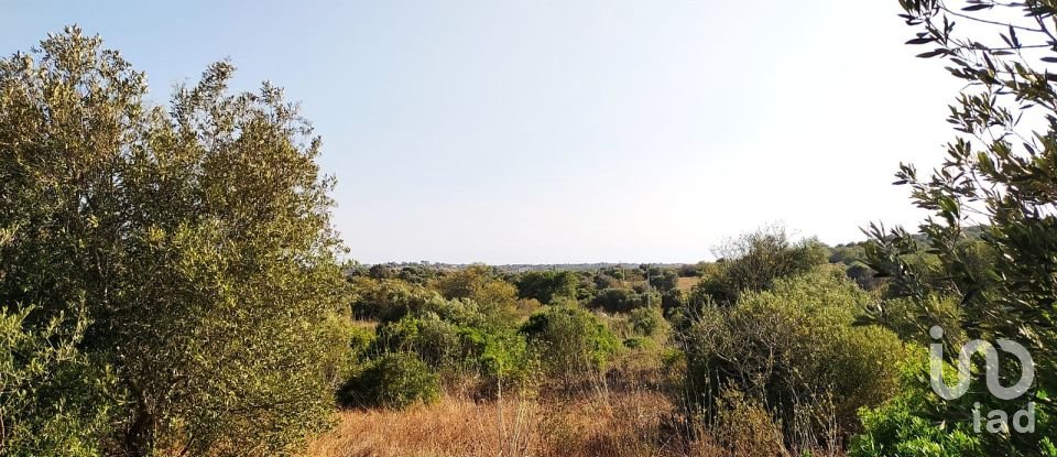 Terreno em Bensafrim e Barão de São João de 25 200 m²