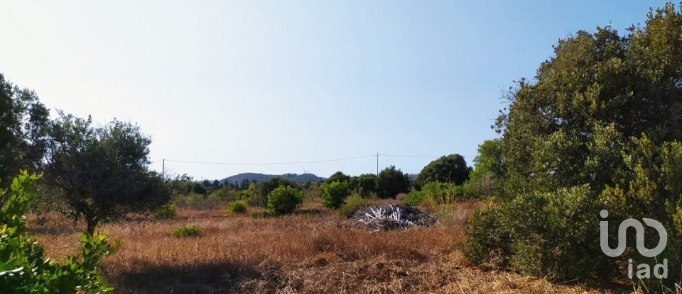 Terreno em Bensafrim e Barão de São João de 25 200 m²