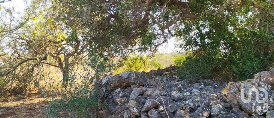 Terreno em Bensafrim e Barão de São João de 25 200 m²