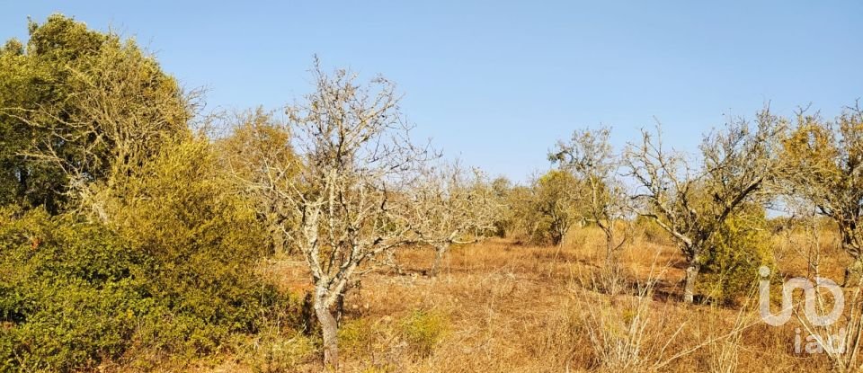 Terreno em Bensafrim e Barão de São João de 25 200 m²