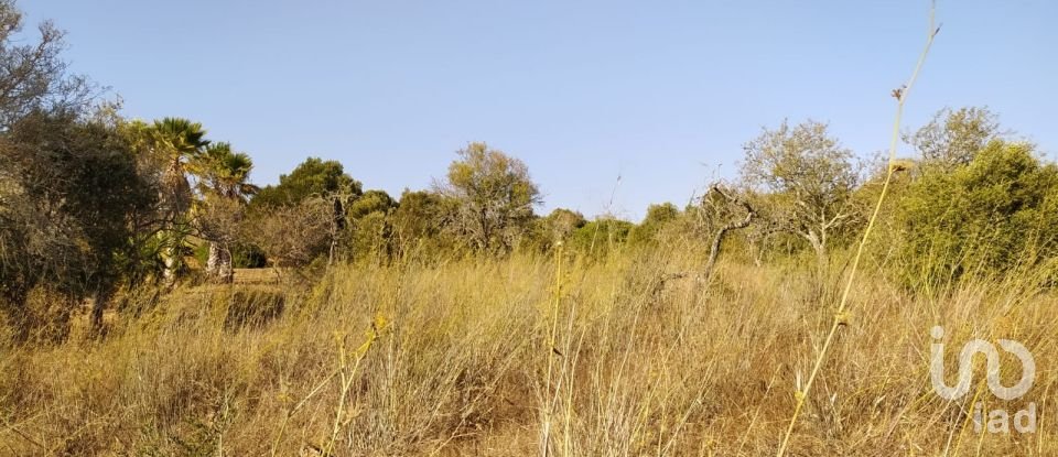 Land in Bensafrim e Barão de São João of 25,200 m²