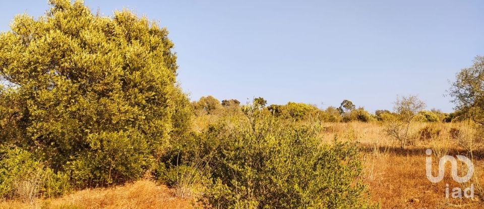 Terrain à Bensafrim e Barão de São João de 25 200 m²