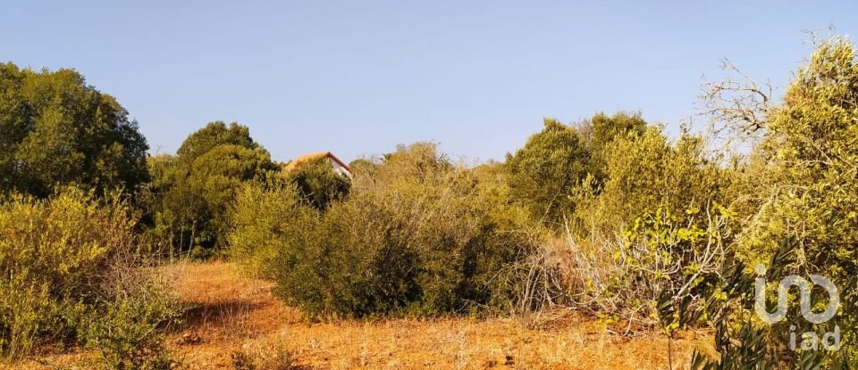 Terrain à Bensafrim e Barão de São João de 25 200 m²