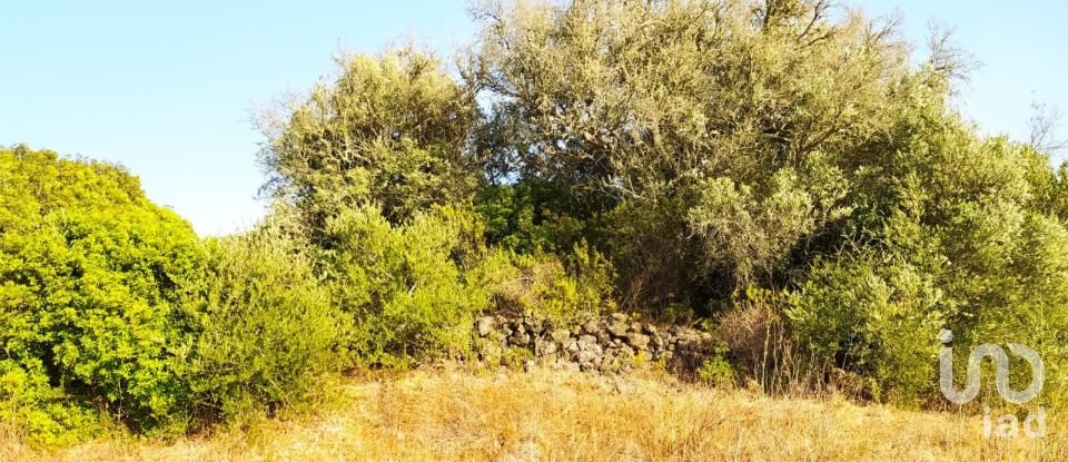 Terreno em Bensafrim e Barão de São João de 25 200 m²