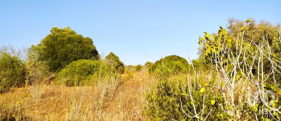 Land in Bensafrim e Barão de São João of 25,200 m²