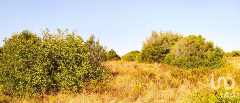 Terrain à Bensafrim e Barão de São João de 25 200 m²