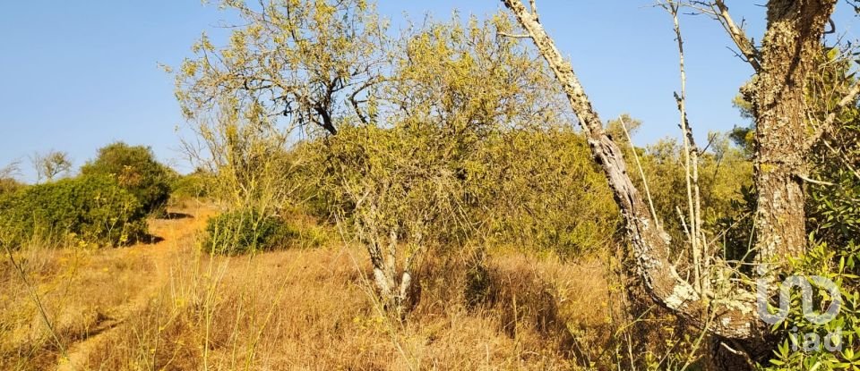 Terrain à Bensafrim e Barão de São João de 25 200 m²