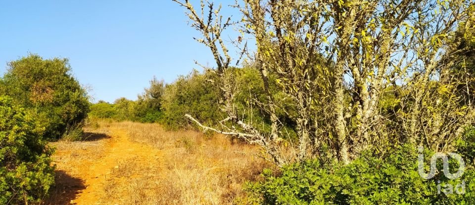 Land in Bensafrim e Barão de São João of 25,200 m²