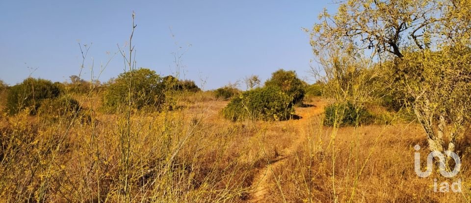 Terrain à Bensafrim e Barão de São João de 25 200 m²