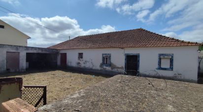 Casa / Villa T2 em Lamas e Cercal de 164 m²