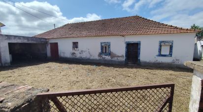 House T2 in Lamas e Cercal of 164 m²