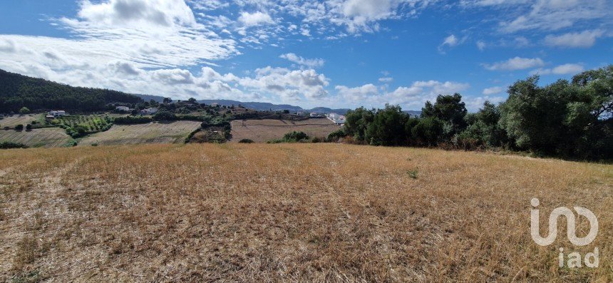 Terreno em Enxara do Bispo, Gradil e Vila Franca do Rosário de 31 600 m²