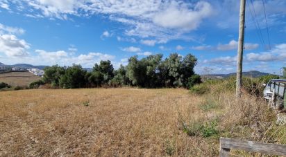 Land in Enxara do Bispo, Gradil e Vila Franca do Rosário of 31,600 m²