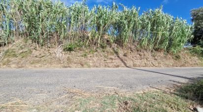 Terreno em Enxara do Bispo, Gradil e Vila Franca do Rosário de 31 600 m²