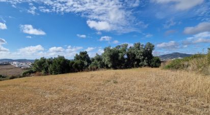 Terreno em Enxara do Bispo, Gradil e Vila Franca do Rosário de 31 600 m²