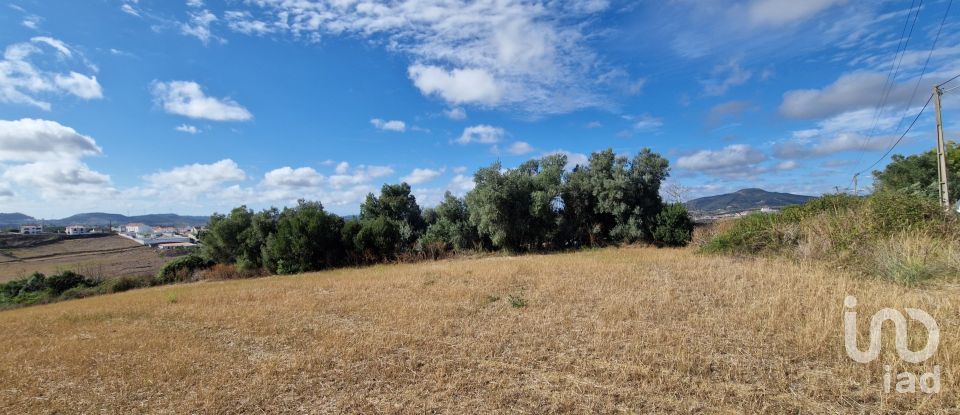 Terreno em Enxara do Bispo, Gradil e Vila Franca do Rosário de 31 600 m²