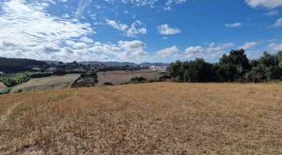 Terreno em Enxara do Bispo, Gradil e Vila Franca do Rosário de 31 600 m²