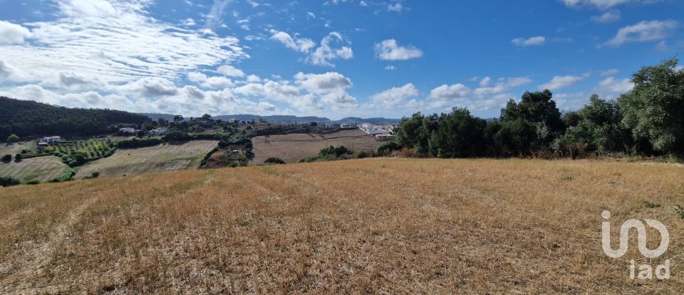 Terrain à Enxara do Bispo, Gradil e Vila Franca do Rosário de 31 600 m²