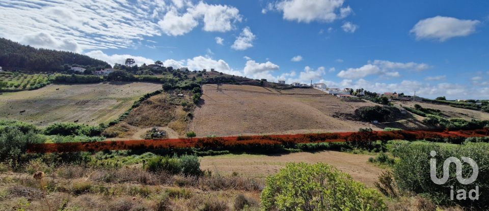 Terrain à Enxara do Bispo, Gradil e Vila Franca do Rosário de 31 600 m²