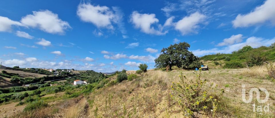 Terreno em Enxara do Bispo, Gradil e Vila Franca do Rosário de 31 600 m²