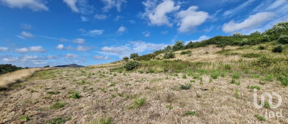 Terreno em Enxara do Bispo, Gradil e Vila Franca do Rosário de 31 600 m²