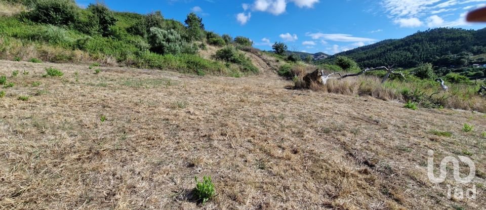 Terreno em Enxara do Bispo, Gradil e Vila Franca do Rosário de 31 600 m²