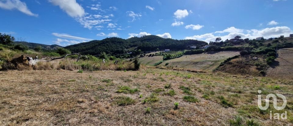 Terreno em Enxara do Bispo, Gradil e Vila Franca do Rosário de 31 600 m²