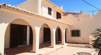 Lodge T5 in Silves of 166 m²