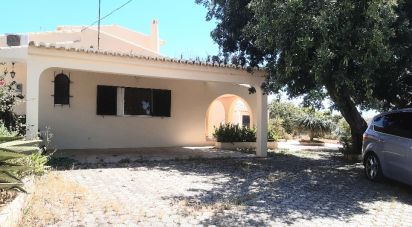 Lodge T5 in Silves of 166 m²