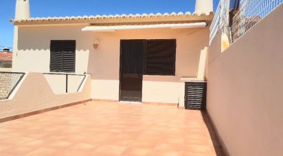 Lodge T5 in Silves of 166 m²