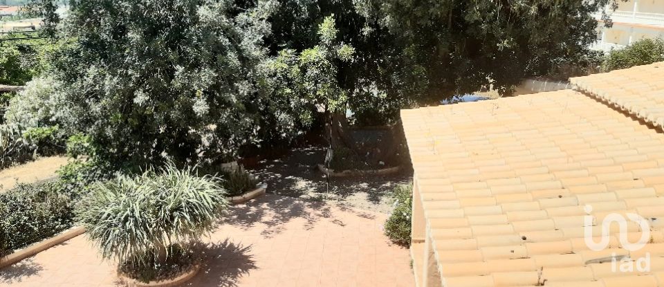 Lodge T5 in Silves of 166 m²