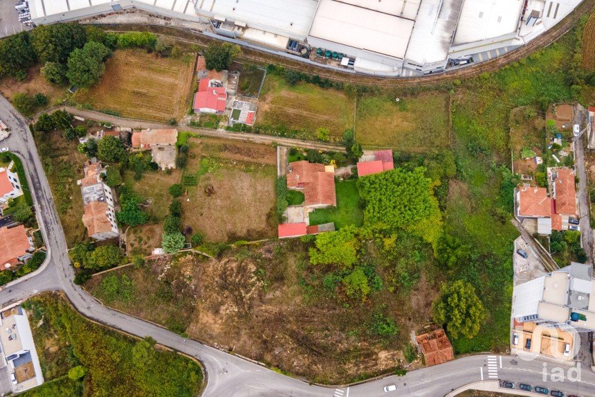 Terrain à Oliveira De Azeméis, Santiago De Riba-Ul, Ul, Macinhata Da Seixa E Madail de 5 351 m²