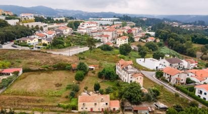 Terrain à Oliveira De Azeméis, Santiago De Riba-Ul, Ul, Macinhata Da Seixa E Madail de 5 351 m²