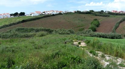 Terrain à Lourinhã e Atalaia de 1 253 m²