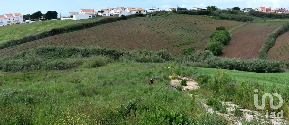 Terreno em Lourinhã e Atalaia de 1 253 m²