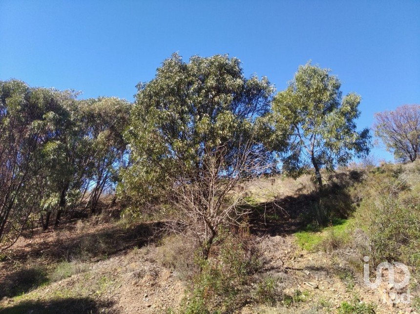 Terreno em Conceição e Cabanas de Tavira de 7 880 m²