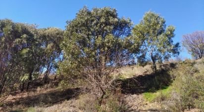 Terreno em Conceição e Cabanas de Tavira de 7 880 m²