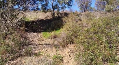 Terrain à Conceição e Cabanas de Tavira de 7 880 m²