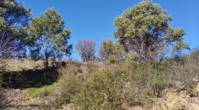 Land in Conceição e Cabanas de Tavira of 7,880 m²