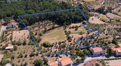 Ferme T4 à Póvoa de Midões de 356 m²