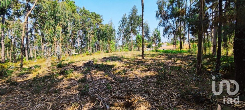 Land in Campos e Vila Meã of 1,220 m²