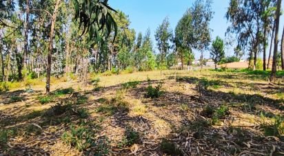 Land in Campos e Vila Meã of 1,220 m²