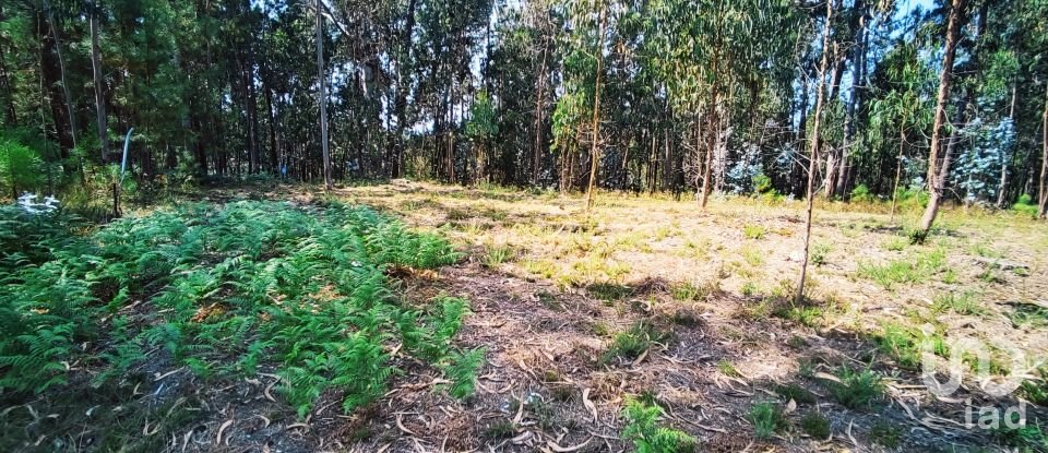 Land in Campos e Vila Meã of 1,220 m²