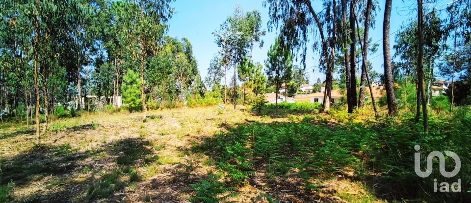 Land in Campos e Vila Meã of 1,220 m²